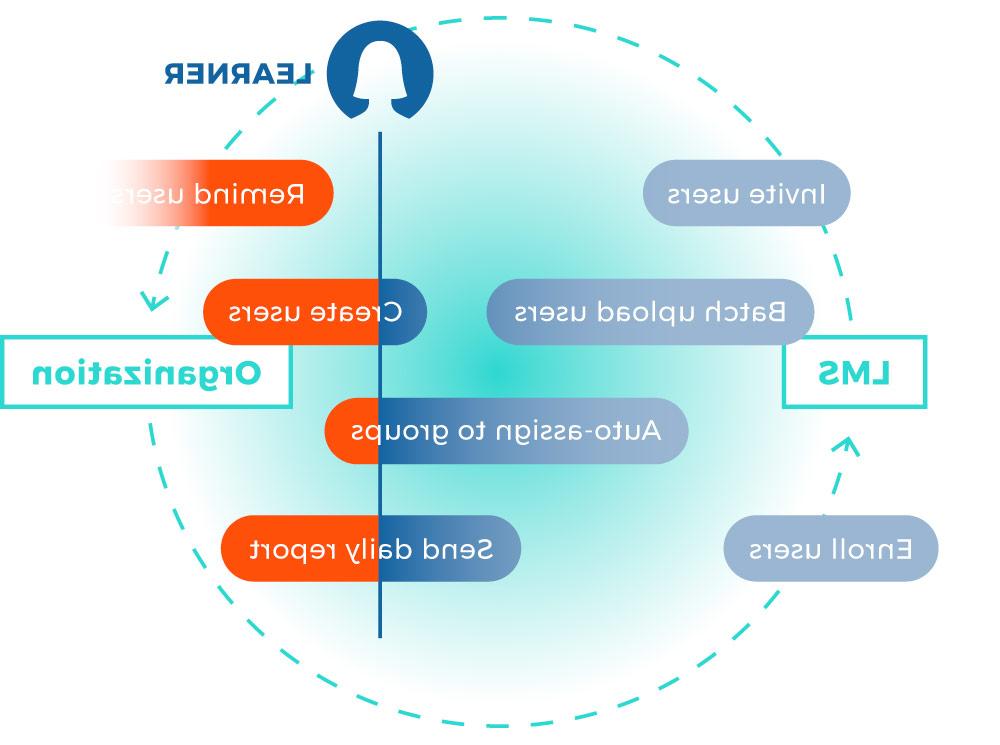 学习管理系统